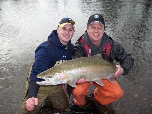kilchis river steelhead salmon