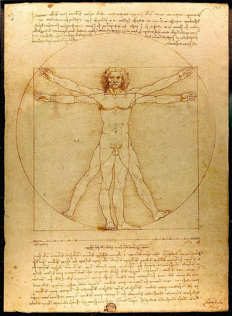 Vitruvian Man, by Leonardo da Vinci. This work done by the artist is used to illustrate the cover of the special issue of Human Evolution that features the Leonardo Project. Wikimedia Commons