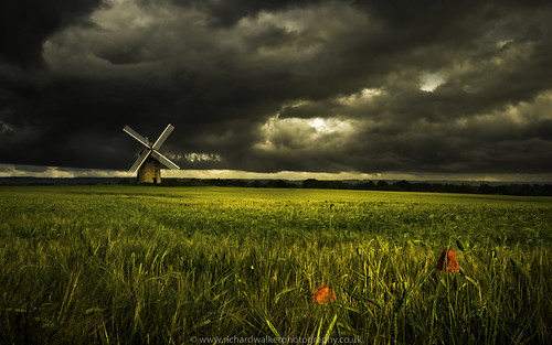 sky windmill field clouds landscape stormy poppy poppies landscapephotography