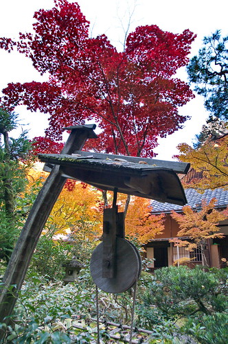 【写真】2012 紅葉 : 高桐院/2020-01-30/IMGP6935