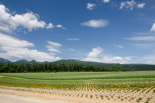 北海道 日本 富良野市 麓郷展望台