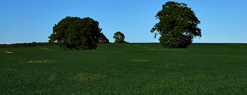 blue trees green landscape countryside kent nikon view farmland redhill fields d200 appledore tenterden oblong 18200mmvr oblonglandscape