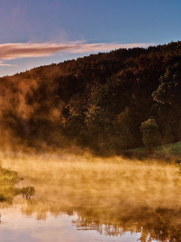 uk morning autumn trees mist water leaves sunrise landscape dawn colours tranquil autumnal malton northyorkshire subtle riverderwent mamiya645afdii leafaptus22 kirkhamabbey mediumformatdigitalback markmullenphotography oakcliffwood