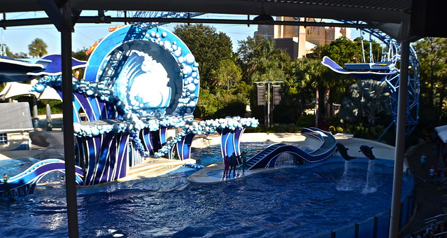 Sea World Orlando Florida - Dolphin show - Blue Horizons