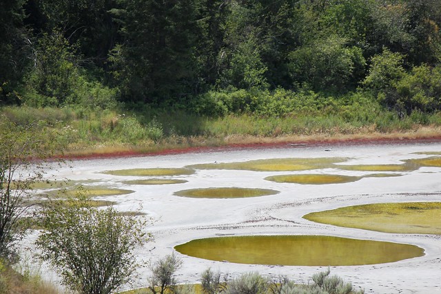 Spotted Lake - Unusual, But Natural Phenomenon