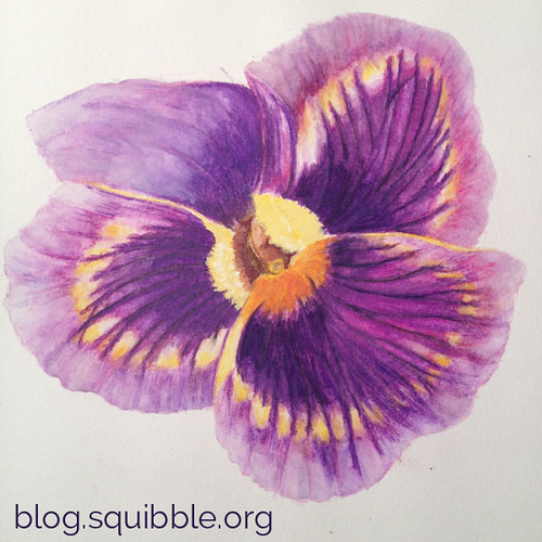 squibble_design_pansy_painting_week4_1