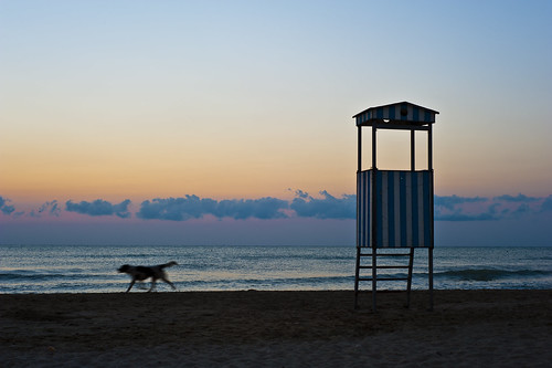 sea italy dog beach clouds sunrise 50mm sand waves alone blu run lookouttower adriatico albaadriatica