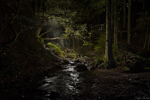 lightpainting night forest darkness flashlight wald paintwithlight murrhardt malenmitlicht hintererwasserfall hörschbach hörschbachfälle fenixtk75 tk75