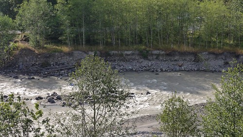 Detail of bank, North Fork Toutle River