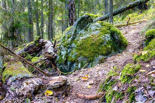 landscape sverige gävleborg ockelbo rönnåsen