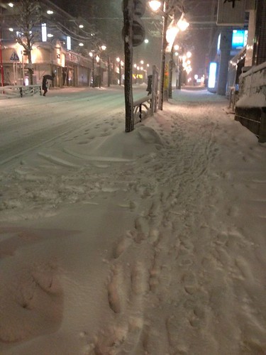 2014年2月の大雪