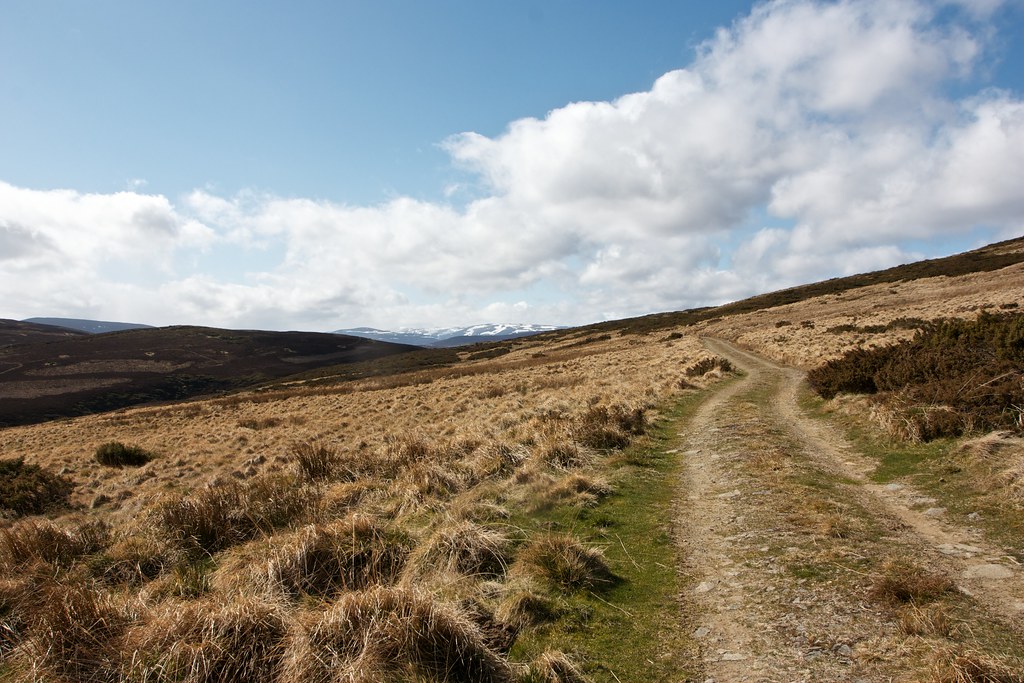Track westward towards Morven Lodge