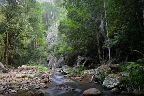 water landscape rainforest australia nsw slowshutter australianlandscape slowwater northernrivers tweedvalley streamscape couchycreek couchycreeknaturereserve australiancreeks
