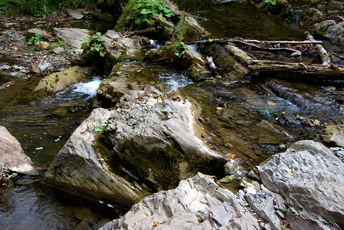 green nature water river waterfall flora stones poland polska natura bieszczady zielony woda rzeka kamienie wodospad bieszczadymountainrange dołżyczka