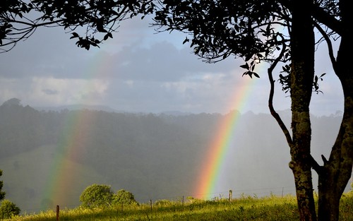 summer sunlight tree weather rainbow australia nsw shelter showers afternoonlight northernrivers australianweather afternoonlandscape danscreekvalley