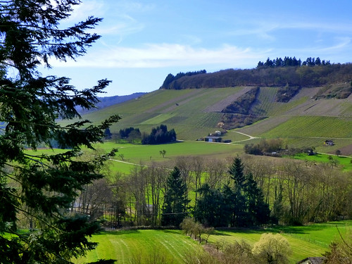 eifel plein mosel maar daun radweg wittlich maare schalkenmehren maaremoselradweg wengerohr hasborn pantenburg