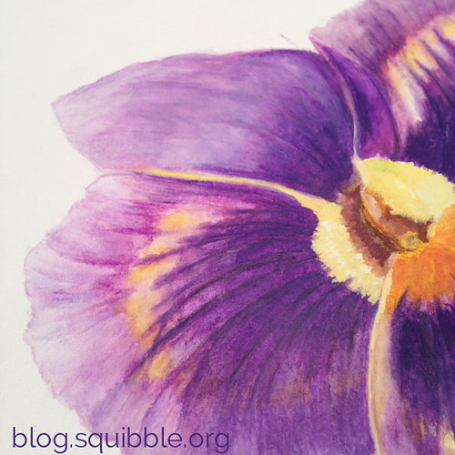 squibble_design_pansy_painting_week5_2