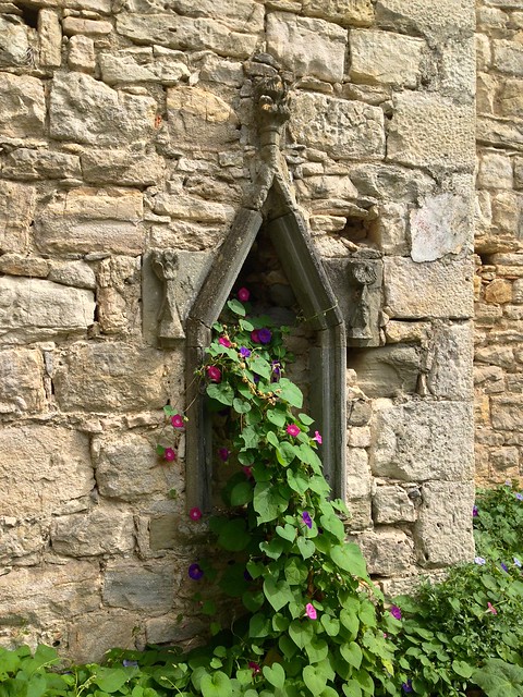 Flowers and Gothic Details
