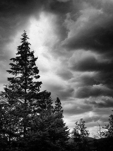 white black tree clouds lumix wolken boom panasonic zwart wit dmc 1235 vario gh3 1235mm