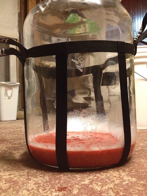 4.75 lbs of strawberry puree in a 6.5 gallon carboy