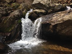 Dark Hollow Falls, Skyline Drive, Shenandoah National Park, Virginia, USA. April 2014