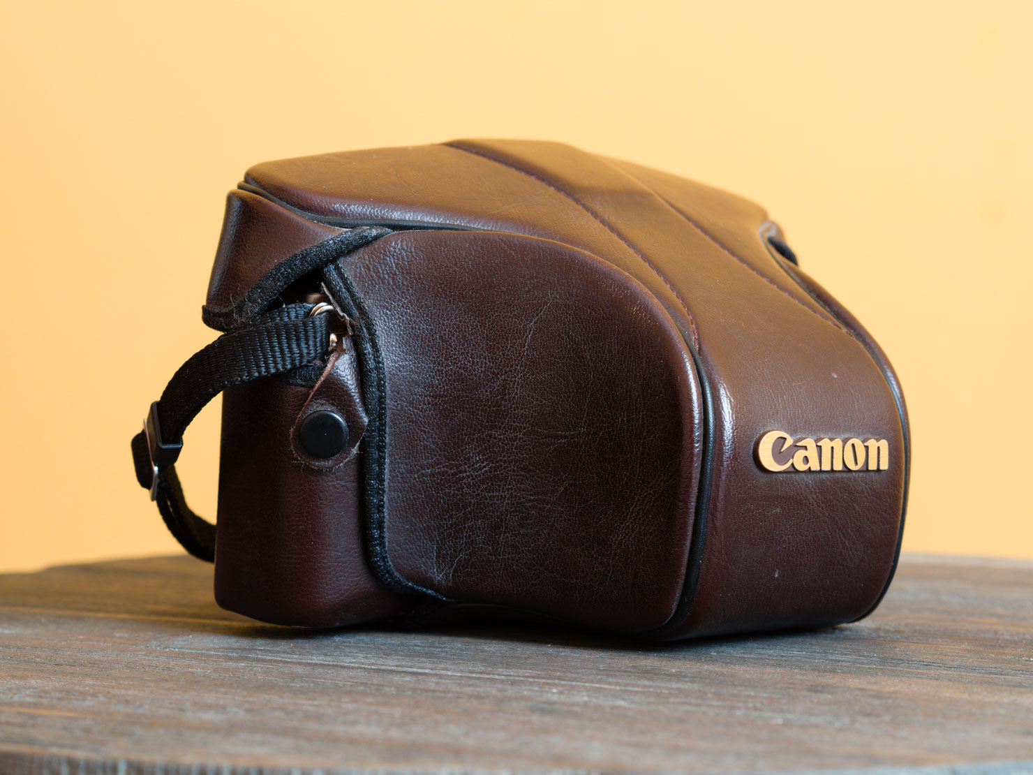 Adventures in Film Photography: The Canon AE-1 Program - Analog Senses