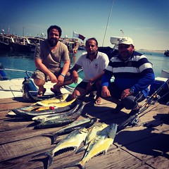 One of the best fishing trip in my life #fish #fishingtrip #fishing #boat #fishing_time #jigging #doha #qatar #instafishing #instajigging #kingfish #wakra #harbor #queenfish #instagood #instagram