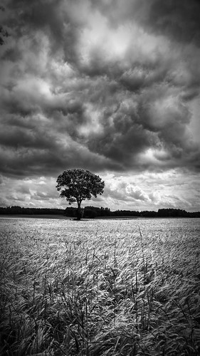 summer sky blackandwhite bw tree nature clouds germany bayern deutschland bavaria sommer natur himmel wolken sw baum schwarzweis canon6d blichb moorenweis