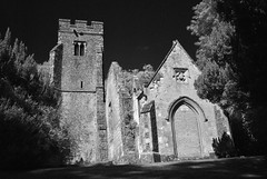 The Ruins of St Mary's - Eastwell