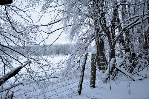winter ontario storm ice landscape bethany
