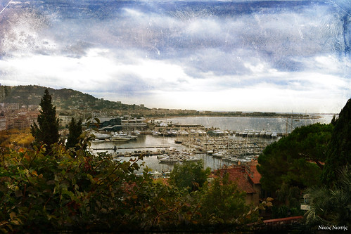 city trees sky panorama france texture clouds forest port french landscape europe riviera cannes yachts croisette
