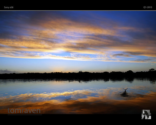 sunset bird reflections river dusk sony flight alpha shag takeoff a58 tomraven aravenimage q12015