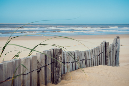 travel viaje beach landscape uruguay mar sand wind fences playa paisaje viento arena maldonado puntadeleste vallas oceanoatlántico playadelamano