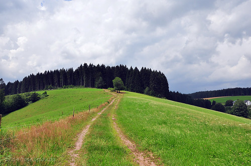 landscape schwarzwald blackforest 風景 黑森林 d7100 afs300mmf4d afs300f4d