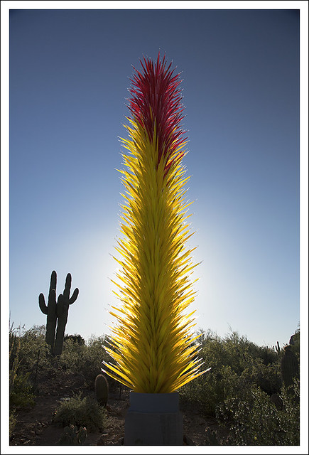 Chihuly In The DBG 1
