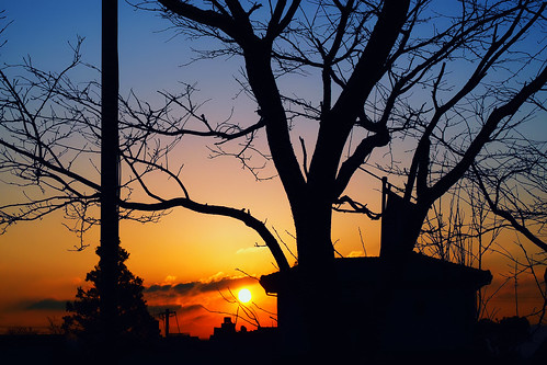 travel sky tree japan clouds sunrise landscape silhouettes olympus 日本 aso bluehour magichour kumamoto kyushu 九州 熊本 em1 日出 阿蘇 1240mmf28