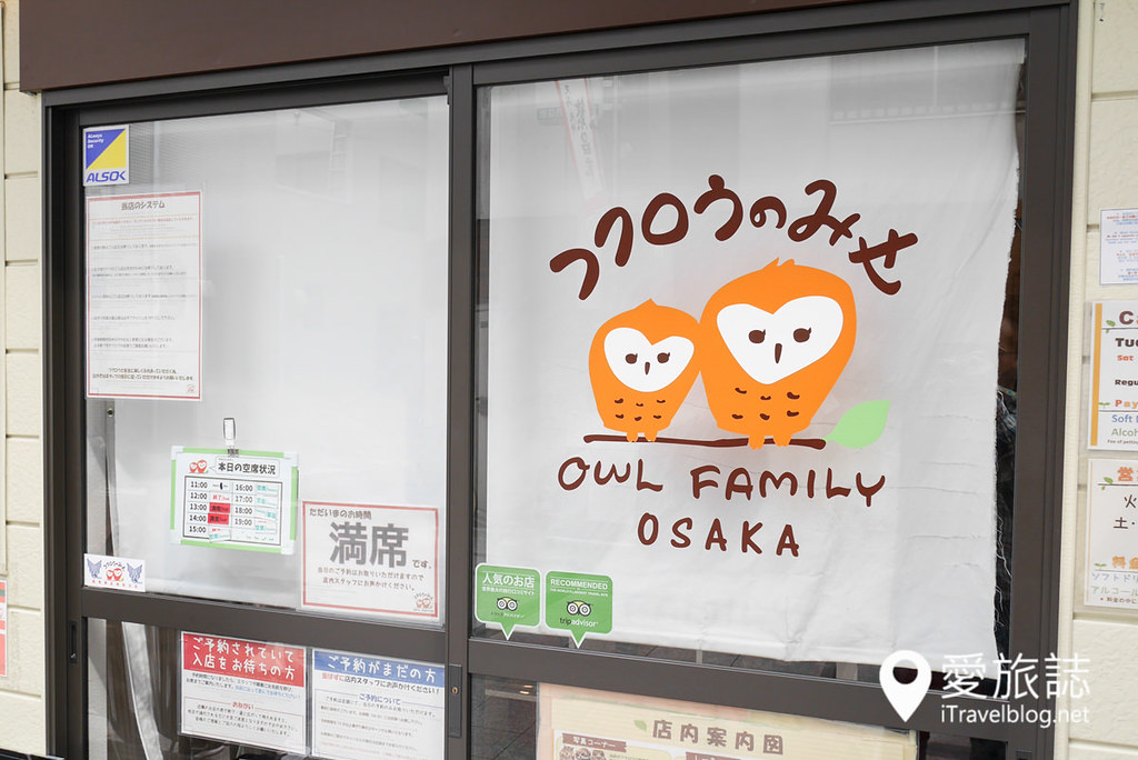 大阪猫头鹰咖啡 OWL Family 04