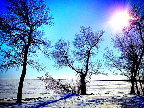 trees winter lake snow frozen shadows sunny national geographic dunnottar colorvibefilter