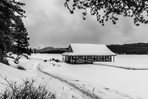 bw snow mountains monochrome landscape track alberta boathouse tours jaspernationalpark malignelake