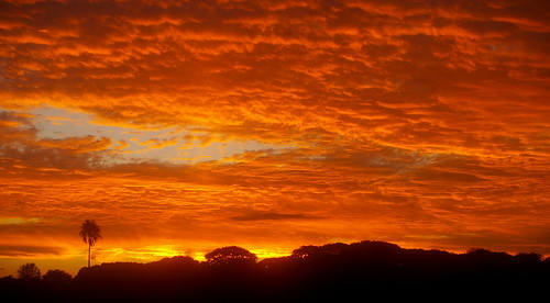 sunset sol argentina atardecer sanjose nubes palmera entrerios 2015
