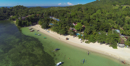 ocean sea beach strand meer philippines palm tropical phl aerialphotography luftbild philippinen palmen luftaufnahme ozean tropisch negrosoccidental sipalay gopro artisticdivingresort