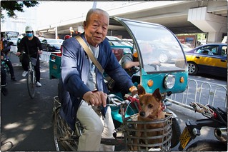 Commuting With His Dog, Beijing, May 17, 2016