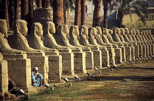 Ägypten 1999 (243) Tempel von Luxor: Sphingen-Allee