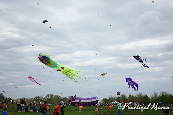 Montrose Harbor Kite Festival