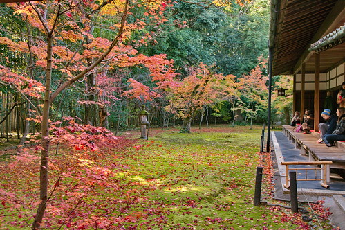 【写真】2012 紅葉 : 高桐院/2020-01-30/IMGP6928