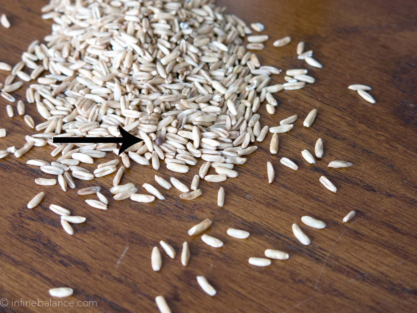 whole oat groats with a pebble