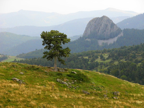 france nature montagne nikon coolpix paysage campagne rocher volcan ardèche rhônealpes suc gerbier mézenc