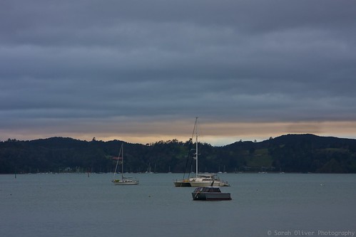 new newzealand sunrise boats islands north zealand wharf nz northisland yachts northland paihia