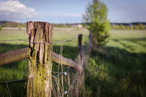 green field fence landscape spring hessen landschaft frühling wieseck giesen