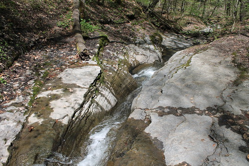 black river spring stream feeder pixley